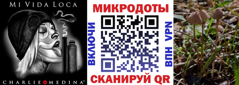 Галлюциногенные грибы мицелий  Нижний Новгород 